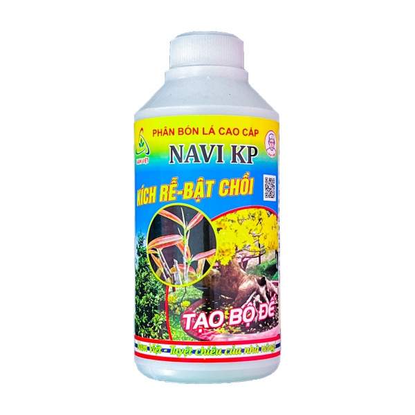 KÍCH RỄ, BẬT CHỒI, TẠO BỘ ĐẾ MAI